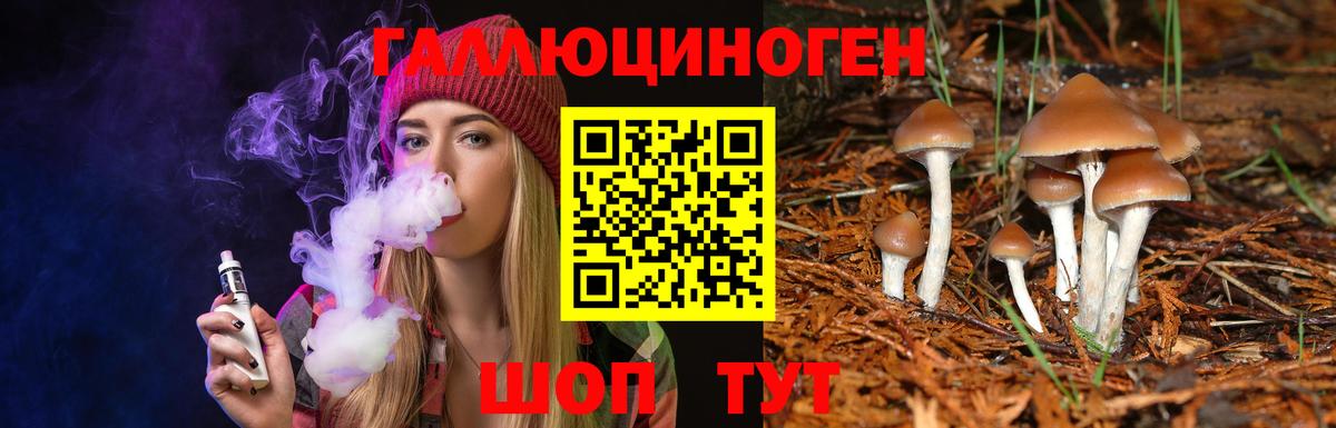 Галлюциногенные грибы Cubensis Омск