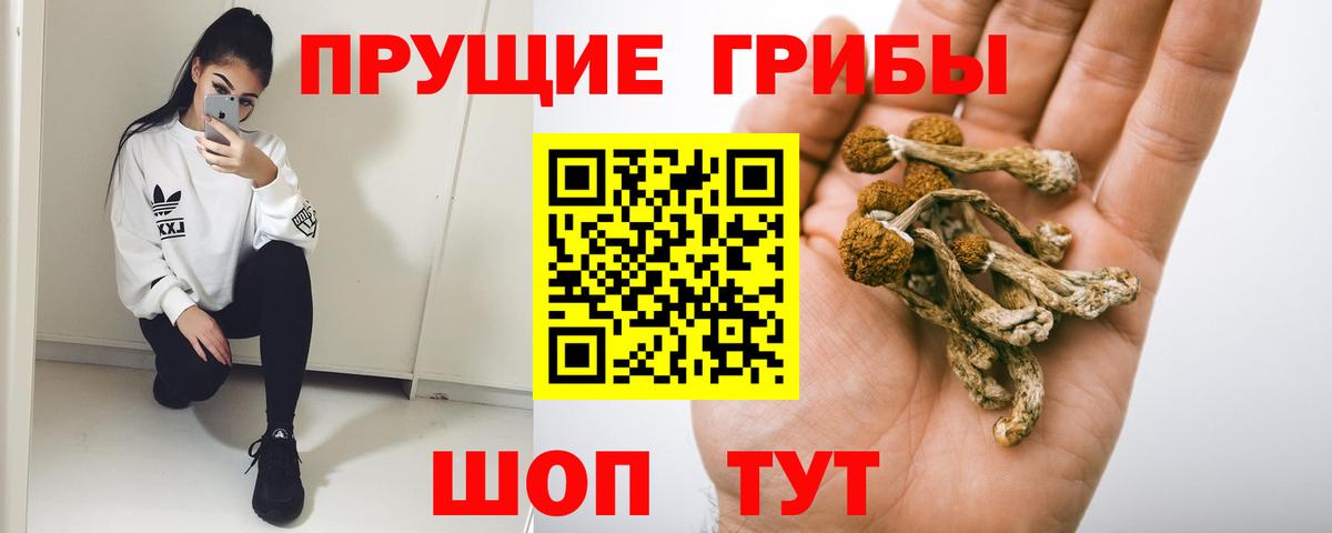 Омск  Галлюциногенные грибы MAGIC MUSHROOMS  Вход с VPN 